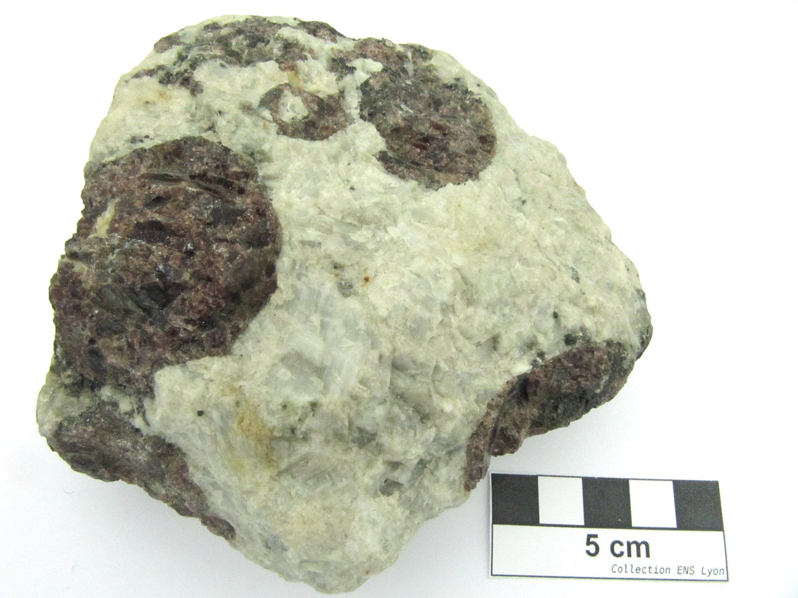 Grenat Grenats dans un méta-granite    